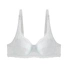 Sutiã de Renda com Aro de Aço para Mulheres Plus Size 36-42 B/C, Push Up Fino, Lingerie Sexy Sutiã de Renda com Aro de Aço para Mulheres Plus Size 36-42 B/C, Push Up Fino, Lingerie Sexy