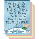 Tablet Chart Tablet Pacon PAC74733 Capa manuscrita 24x32cm 25 folhas