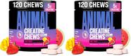 Tabletes mastigáveis de creatina Animal 5 g, sabor Fruit Punch Tabletes mastigáveis de creatina Animal 5 g, sabor Fruit Punch
