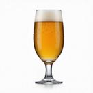 Taça Cerveja Floripa 300ml-artesanal-pilsen-premium-ipa 02un