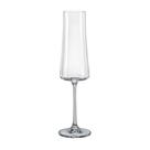 Taça De Cristal Bohemia Para Champanhe 210 ml Fumê Xtra 1 Peça