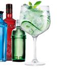 Taça de Gin de Vidro 650ml - Ruvolo