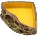 Taça de resina alimentadora de répteis para dragão barbudo Lizard Gecko