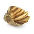 Taça decorativa Accessoryway Clam Shell 26x22x9 cm Bronze