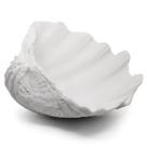 Taça decorativa Accessoryway de 31,5 cm White Clam Shell