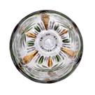 Taça Palm Tree Handpaint Wolff 450ml Cristal Ecológico