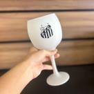 Taça Santos Prime