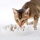 Taça Slow Food DotPet para gatos com design de peixe em cerâmica branca Taça Slow Food DotPet para gatos com design de peixe em cerâmica branca
