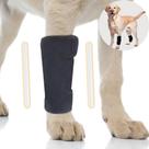 Tala Cachorro Perna Traseira Joelheiras Pet Lesão Recupera