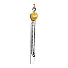 Talha de Corrente Profissional - 1 Tonelada (1000 kg) x 3 m
