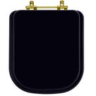 Tampa de Vaso Laqueado Axis Preto para bacia Deca com Ferragem Dourada