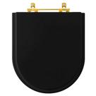 Tampa de Vaso Poliéster Riviera Preto para bacia Celite com Ferragem Dourada