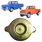 Tampa Radiador F75 F1000 Rural C10 D10 Veraneio Bandeirante