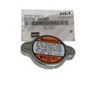 Tampa Radiador H1 E HR 2006/2016 Original - 253303K000