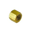 Tampão de Latão 1/8" NPTF para Gás