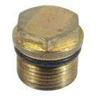 Tampão M22x1,5 Válvula Sucção / Pressão 12601620 Wap Original