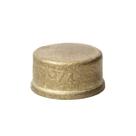 Tampão Plug Caps Fêmea De 3/4 Latão Amarelo
