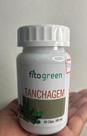Tanchagem 60cp FitoGreen Suplemento