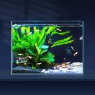 Tanque de peixes LAQUAL Ultra Clear Glass 11,36 L para Betta/Nano/Goldfish