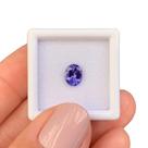 Tanzanita Azul Oval 0,99ct Tanzanita Azul Oval 0,99ct