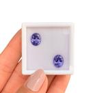 Tanzanita Oval Par 6,90ct
