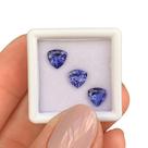 Tanzanita Trillion SET 2,02ct Tanzanita Trillion SET 2,02ct