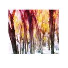 Tapeçaria Scenic Forest Wall Microfabric 150x100cm, decoração de quarto