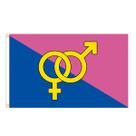 Tapeçaria Straights Prides Parades Flag Art 90x150cm Poliéster