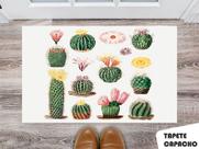Tapete Capacho Personalizado Diversos Cactos Floral