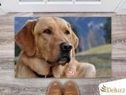 Tapete Capacho Personalizado Divertido Dog Pet Cachorro Cão Tapete Capacho Personalizado Divertido Dog Pet Cachorro Cão