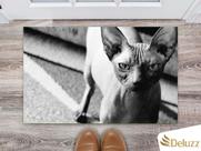 Tapete Capacho Personalizado Divertido Gatos Cat Felino