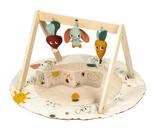 Tapete de Atividades para Bebê Tiny Love Jardins da Aventura Gymini