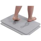Tapete De Pedra Diatomita Para Banheiro Absorve Água 60x39cm