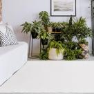 Tapete Decorativo Sala de Estar Conforto 200x240 Branco G67 - Gran Belo