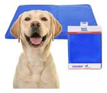Tapete Gelado Para Pet Cachorro Gato Grande 50x65 Durável