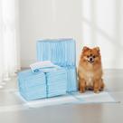 Tapete Higiênico Alta Absorção Para Cães Slim Premium Pet 60x40cm 50 Unidades