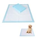 Tapete Higienico Cachorro Pet Cao 60x90 20 Unidades Absorvente Animal de Estimaçao Treinamento Adestramento Antivazamento