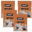 Tapete Higienico Pet Rauf Pads 60x50 6un atacado 4 pacotes