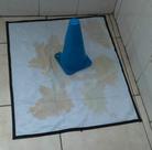 Tapete Higienico Sanitario Lavavel Pet Xixi Facil