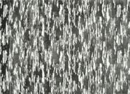 Tapete legacy 36e 2,00x3,00