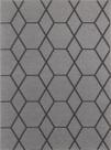 Tapete Para Sala Eva Antiderrapante Funcional Hexagonal 2,00 x 3,00 Grafite J Serrano