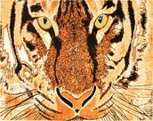 Tapete para sala Marbella Elite Epic Art Tigre 200x250 cm