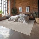 Tapete Para Sala Mariana Prata 2,50x3,00 São Carlos