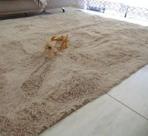 Tapete Pelo 2x2,40m