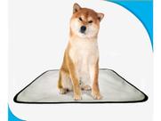 Tapete Pet Banheiro Lavável Pet em oferta 2un M - 60 X 80 cm Tapete Pet Banheiro Lavável Pet em oferta 2un M - 60 X 80 cm