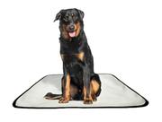 Tapete pet impermeável educador dog oferta 3 un G1 100x120cm