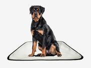 Tapete pet impermeável educador dog oferta 4 un G2 120x120cm