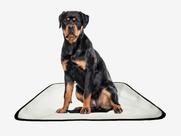 Tapete pet lavável adestramento em oferta 3 un G2 120x120cm Tapete pet lavável adestramento em oferta 3 un G2 120x120cm