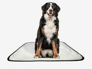 Tapete pet lavável adestramento higiênico 1 un G2 120x120cm Tapete pet lavável adestramento higiênico 1 un G2 120x120cm