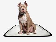 Tapete pet lavável adestramento higiênico 3 un P1 50x70cm
